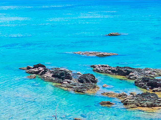 【日本沖繩】Okinawa慶良間能見50米玻璃海!吃好住好潛好｜自由行4日 7
