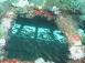 2023【菲律賓明多洛】Puerto Galera海底寶藏微距沈船,夜生活天堂｜5日(含機票)