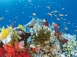 【澳洲凱恩斯大堡礁】Great Barrier Reef大堡礁豪華船宿船潛｜自由行8日,船宿3天(不含機票)