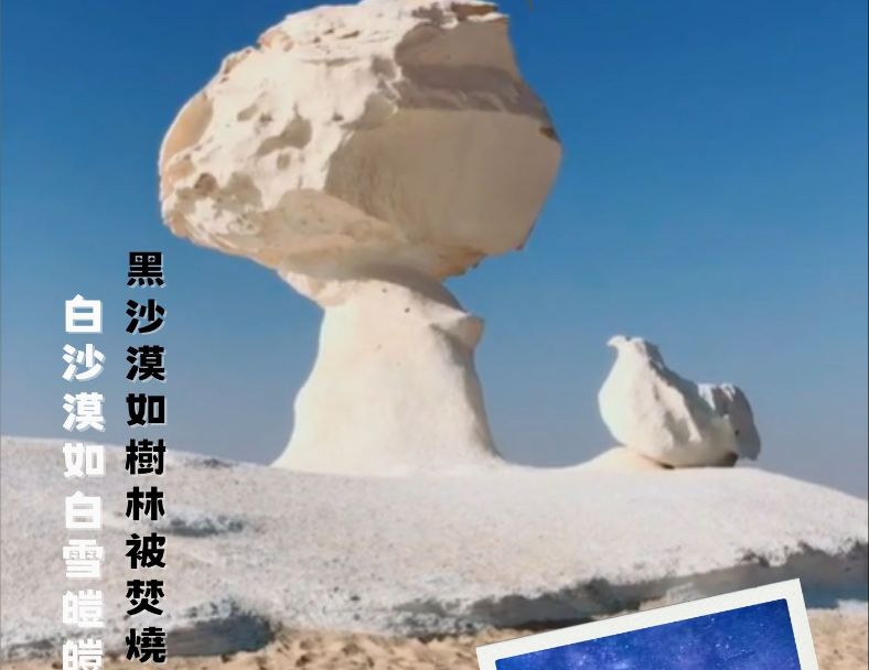 埃及紅海潛水、陸遊精華13日 3