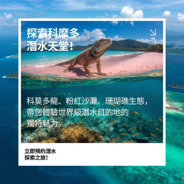 【印尼科摩多】Komodo探險侏儸紀與潛水天堂｜（非船宿）｜自由行7日(不含機票)
