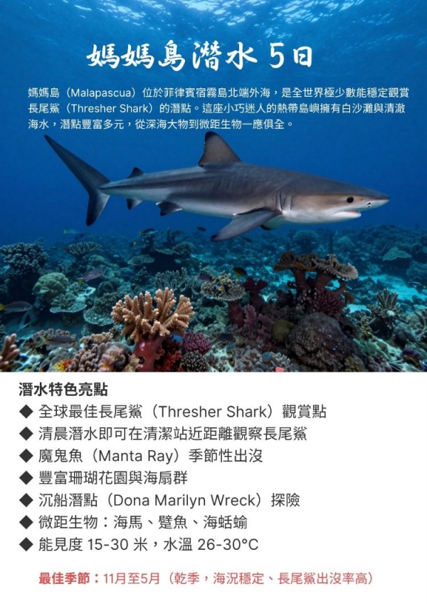 【菲律賓宿霧媽媽島】Malapascua近距離與長尾鯊共游自由行5日兩人成行 (不含機票)