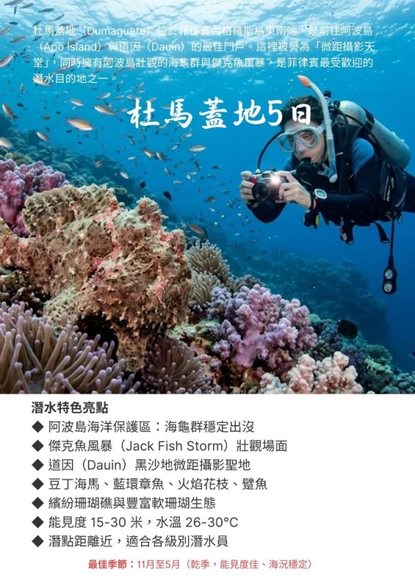 【菲律賓杜馬蓋地】Dumaguete挑戰市場,超值優惠!輕鬆潛進絕美阿波島｜自由行5日