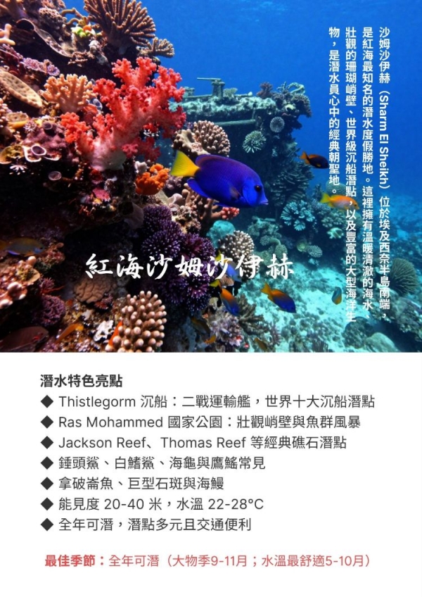 埃及紅海沙姆沙伊赫潛水5日（潛水4天，住宿度假村4晚~非船宿）