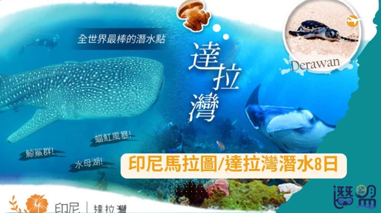 2026一定要去的~印尼馬拉圖/達拉灣潛水8日