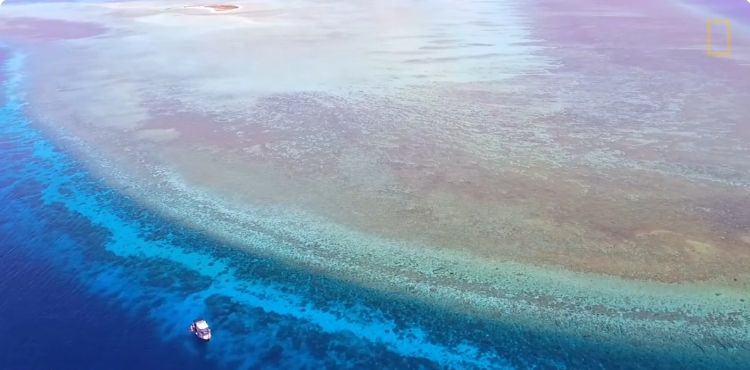 2027菲律賓圖巴塔哈船宿潛水7日