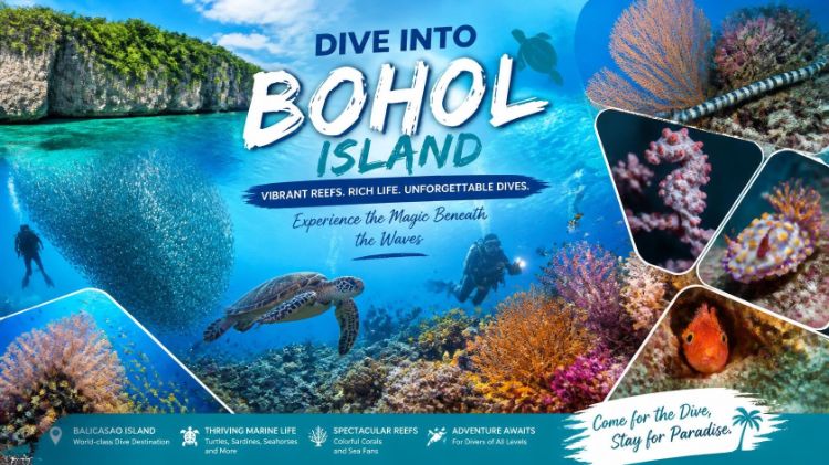 【菲律賓薄荷島】Bohol 自由行5日兩人成行(不含機票)