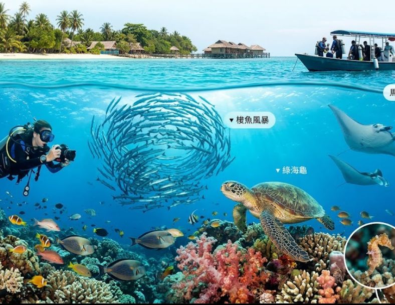 馬拉圖~超美海狼風暴超High8日 1